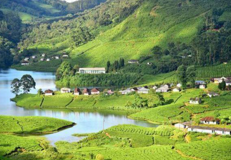 Munnar & Athirapally Tour